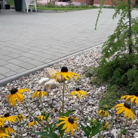 Betonová dlažba Semmelrock Obdelník 6 cm, šedá